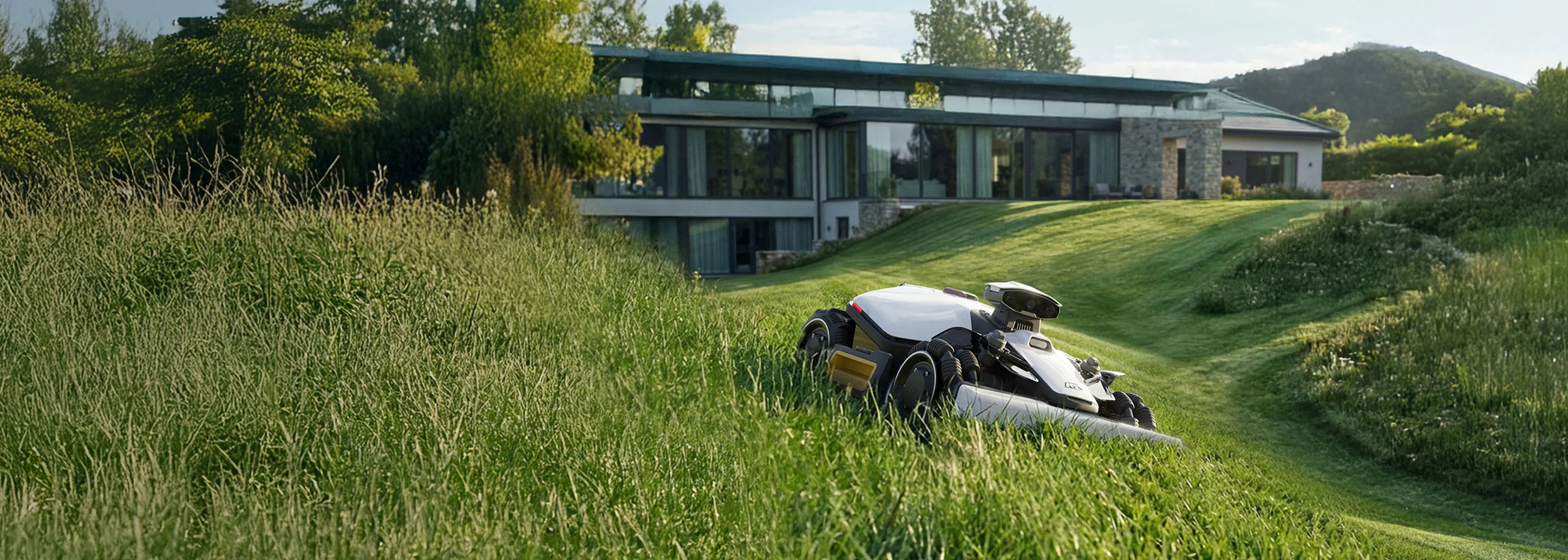 Master Your Lawn With Ease